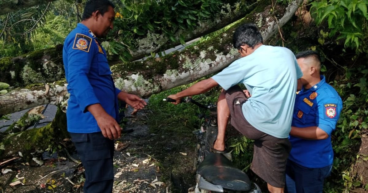 Damkar Gayo Lues Sigap Bantu Warga Terdampak Bencana