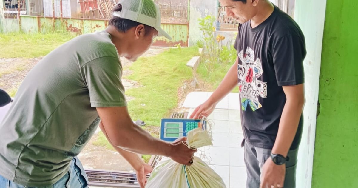 BUMDes Cikutamahi Bogor Serap Padi Lokal, Perkuat Ketahanan Pangan Desa