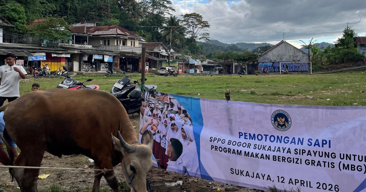Menu Spesial dari Dapur MBG Sipayung Potong Satu Ekor Sapi untuk Sukajaya